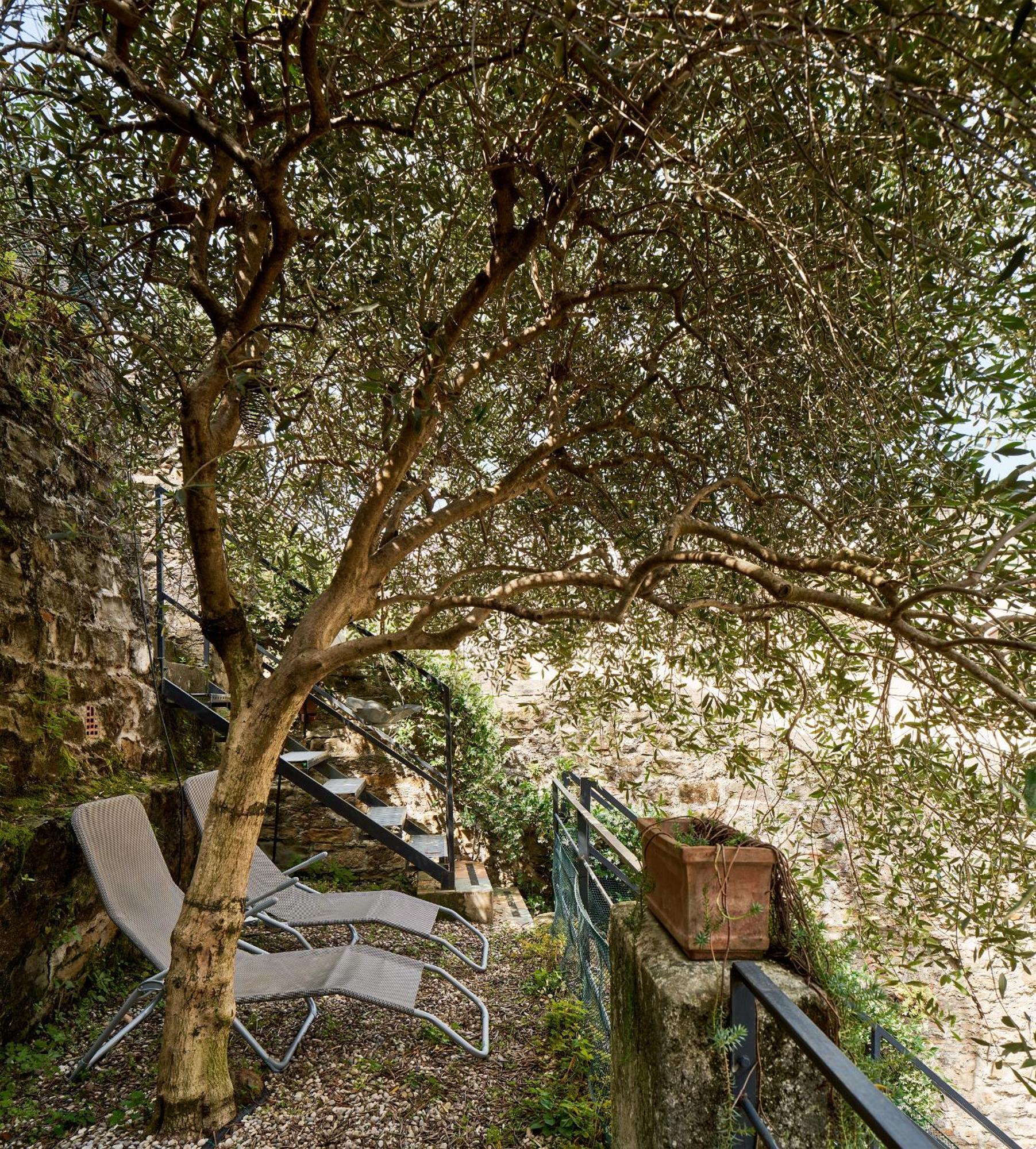 Giardino Segreto, In Centro Apartment ตรีเอสเต ภายนอก รูปภาพ